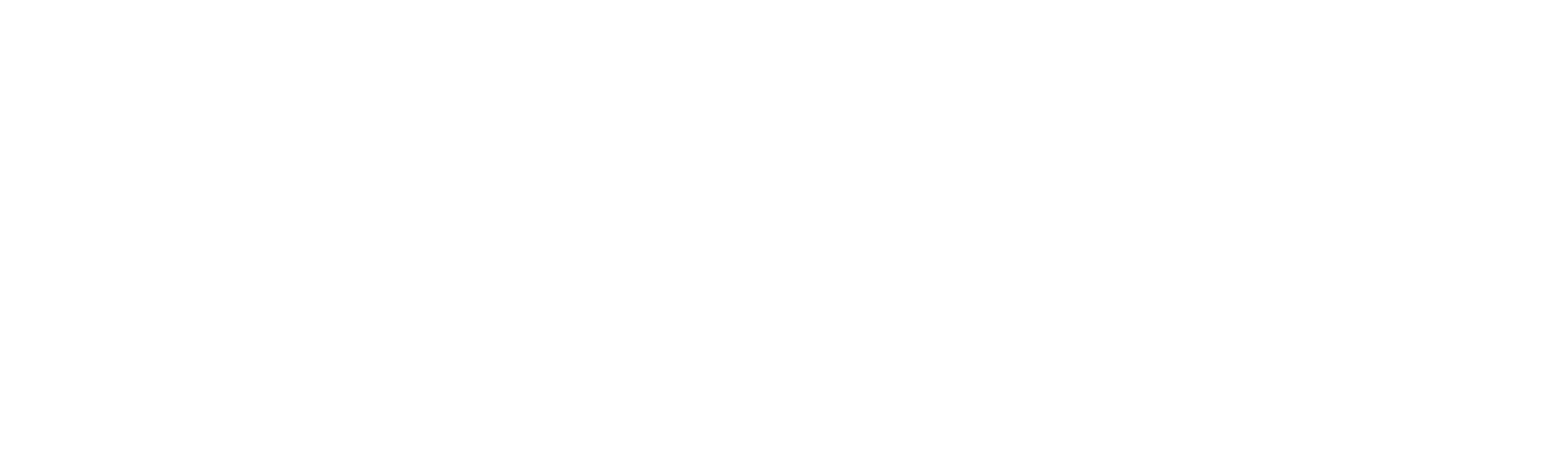 Elegance Cargo